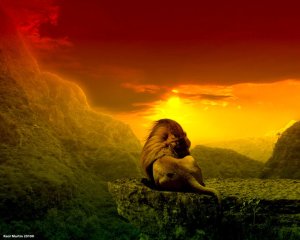 Lion on Mountain